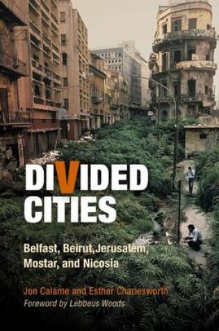 Cover of Divided Cities