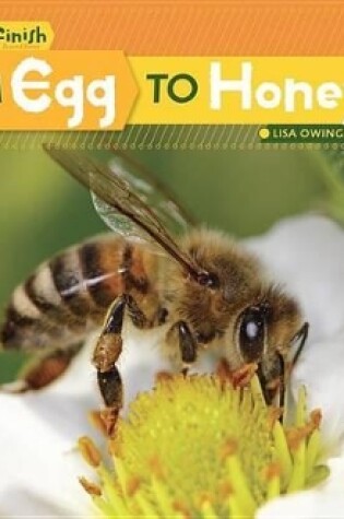 Cover of From Egg to Honeybee