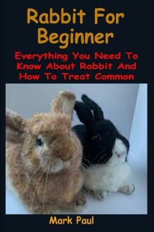 Cover of Rabbit For Beginner