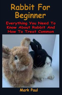 Book cover for Rabbit For Beginner