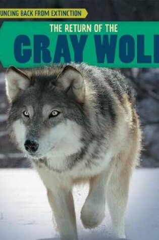 Cover of The Return of the Gray Wolf