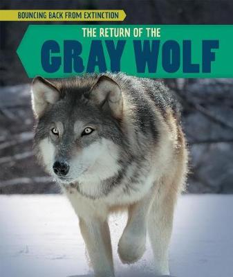 Book cover for The Return of the Gray Wolf