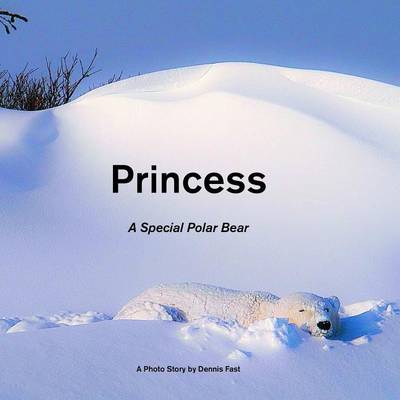 Book cover for Princess