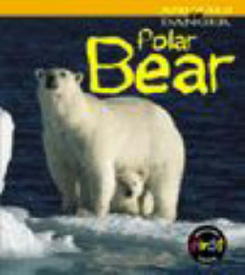 Book cover for Animals Danger: Polar Bear HB