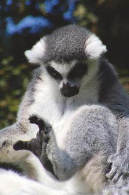 Book cover for Ring-Tailed Lemur Says, "I Can't Stop My Leg!" Journal