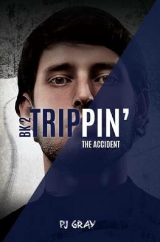 Cover of The Accident Book 2