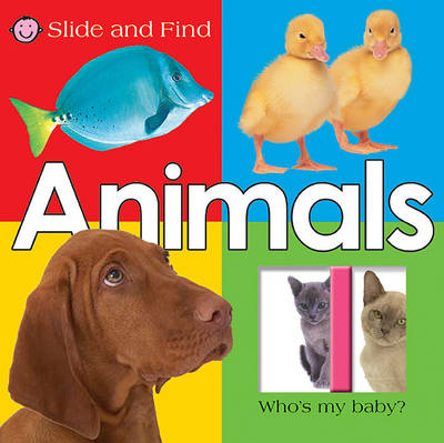 Book cover for Large Slide and Find Animals