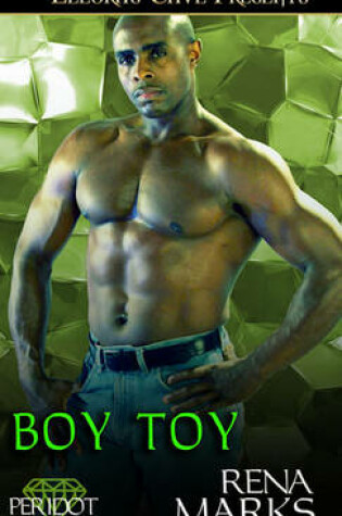 Cover of Boy Toy