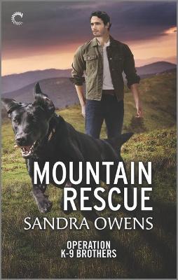 Book cover for Mountain Rescue