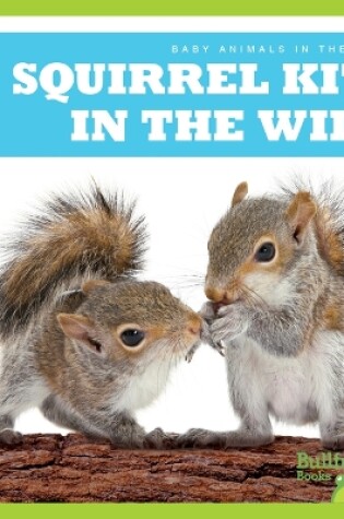 Cover of Squirrel Kits in the Wild