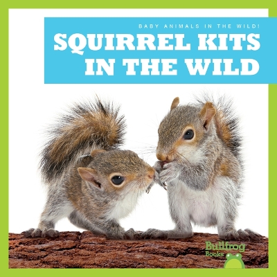 Book cover for Squirrel Kits in the Wild