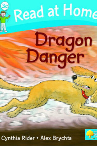 Cover of Read at Home: More Level 3C: Dragon Danger