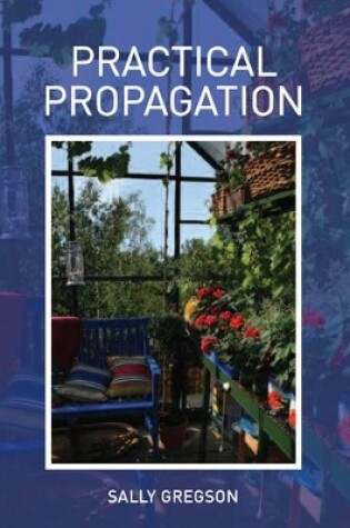 Cover of Practical Propagation