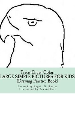 Cover of Trace+Draw+Color