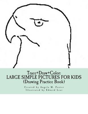 Book cover for Trace+Draw+Color