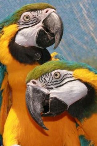 Cover of A Loving Pair of Blue and Gold Macaw Parrots