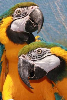 Book cover for A Loving Pair of Blue and Gold Macaw Parrots