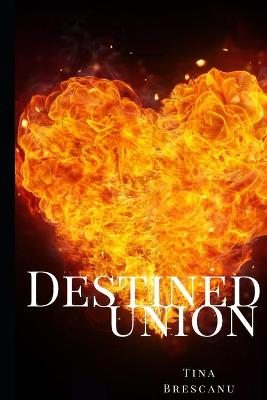 Book cover for Destined Union