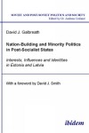 Book cover for Nation-Building and Minority Politics in Post-Socialist States