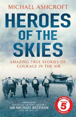 Book cover for Heroes of the Skies