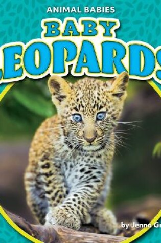 Cover of Baby Leopards