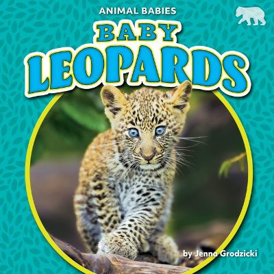Book cover for Baby Leopards