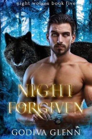 Cover of Night Forgiven
