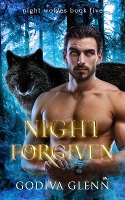 Book cover for Night Forgiven