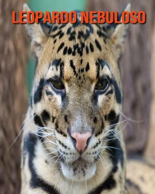 Book cover for Leopardo nebuloso