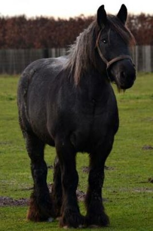 Cover of Sturdy Draft Horse in the Pasture Journal