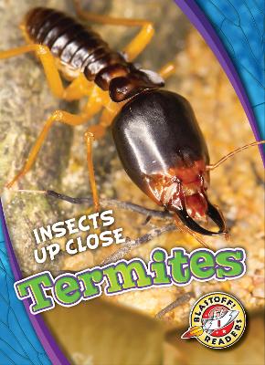 Cover of Termites