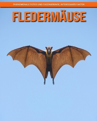 Book cover for Fledermäuse