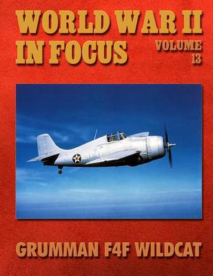 Book cover for World War II in Focus Volume 13