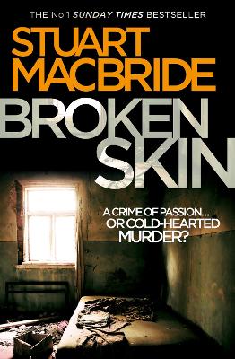 Book cover for Broken Skin