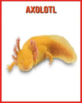 Book cover for Axolotl