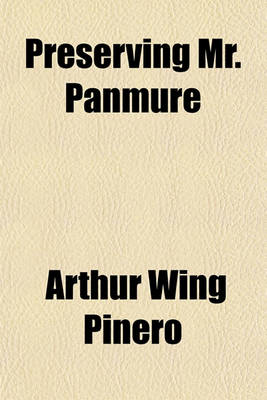 Book cover for Preserving Mr. Panmure