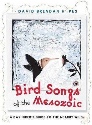 Book cover for Bird Songs of the Mesozoic