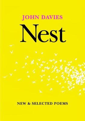 Book cover for Nest