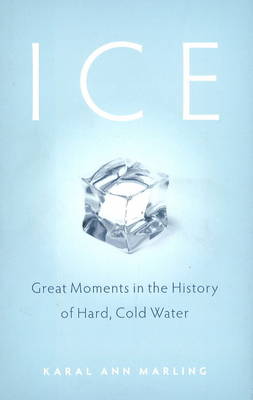 Book cover for Ice