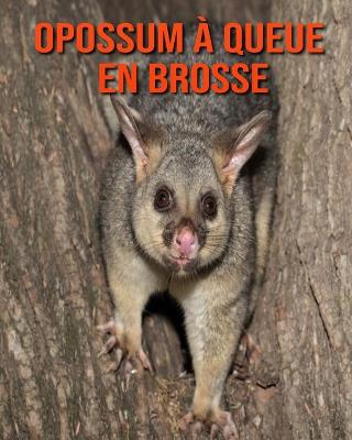 Book cover for Opossum à Queue en Brosse