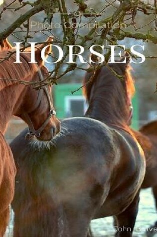 Cover of Horses Photo Compilation