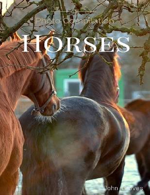 Book cover for Horses Photo Compilation