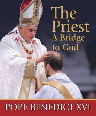 Book cover for The Priest, a Bridge to God