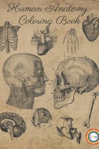 Cover of Human Anatomy Coloring Book