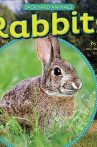 Cover of Rabbits