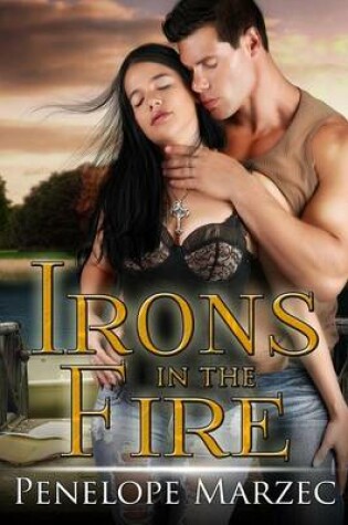 Cover of Irons In The Fire