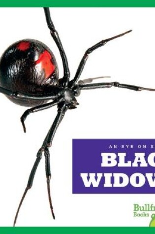 Cover of Black Widows