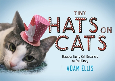 Book cover for Tiny Hats on Cats