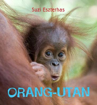 Book cover for Orang-utan