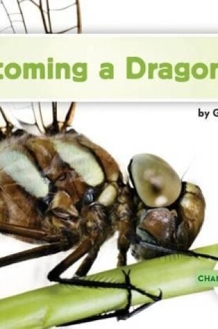 Cover of Becoming a Dragonfly